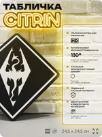 Табличка декоративная "Скайрим, Skyrim" на дверь и стену, прикольная штука в подарок геймеру, декоративный знак, 24,5х24,5 см, Айдентика Технолоджи