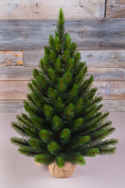 Сосна Русская 90см светло-зеленая в мешочке Triumph Tree