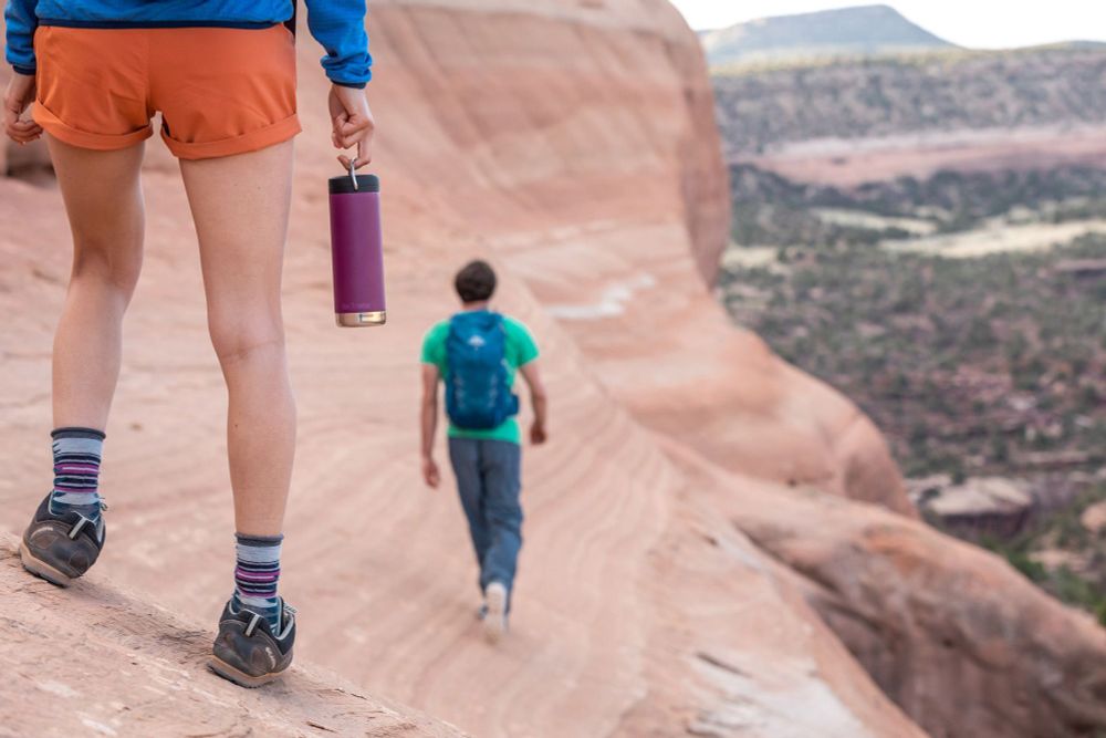 Термокружка Klean Kanteen TKWide Twist Cap 16oz (473 мл) Purple Potion