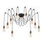 Подвесная люстра Loft IT Spider Loft1162A/10