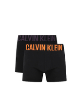 Трусики-боксеры 2шт. Calvin Klein Underwear - черный(000NB2603A)