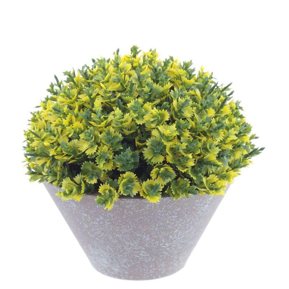 GAEM Цветочная композиция, L13 W13 H13 см, 5в.