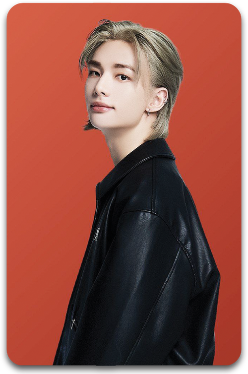 Карта / STRAY KIDS #1329