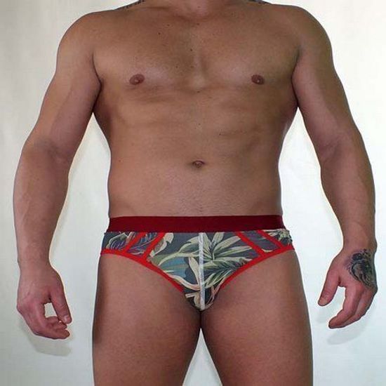 Трусы мужские брифы зеленые с принтом Van Baam 38121