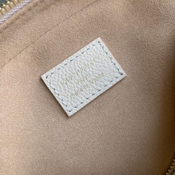 Louis Vuitton Tiny Camera Bag