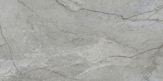 60x120 ArcticStone Серый Матовый R10A