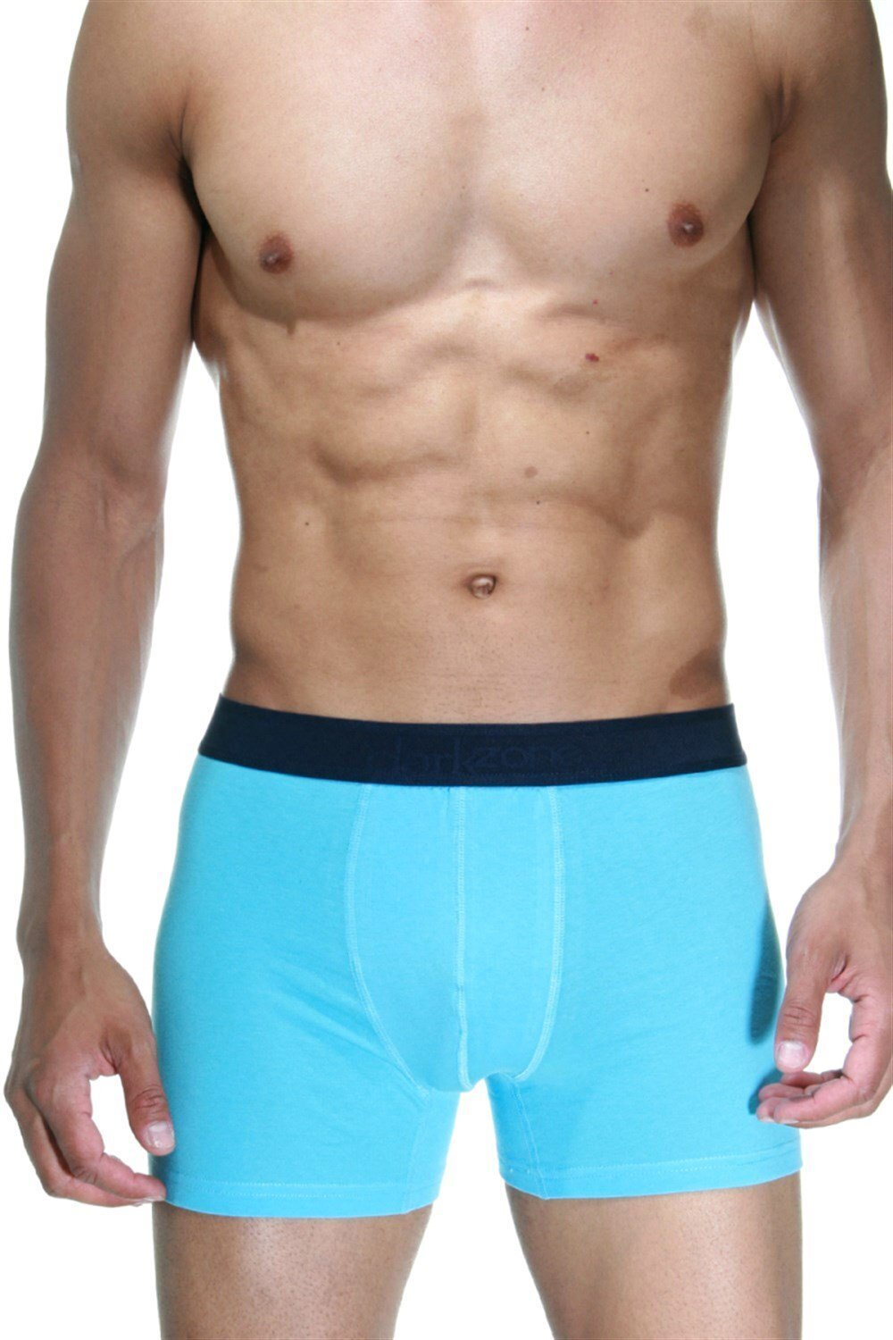 Голубые хлопковые мужские трусы-боксеры (Размер: XL) (Цвет: голубой)