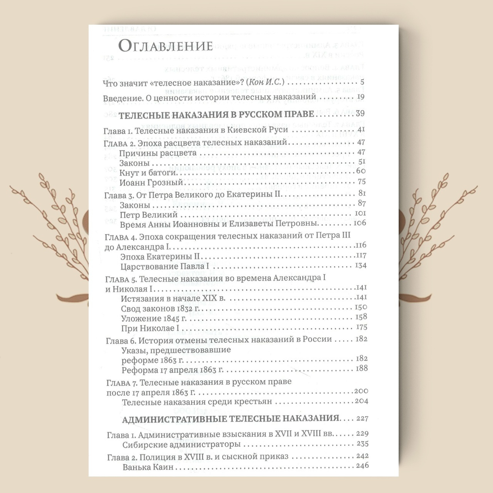 История телесных наказаний в России, Николай Евреинов