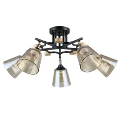 Потолочная люстра Arte Lamp GLASSY A5078PL-5BK