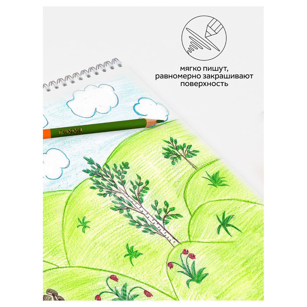 Карандаши цветные двусторонние Гамма "Мультики", 12шт., 24цв., заточен., картон, европодвес