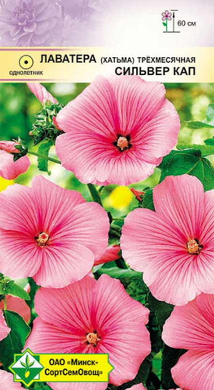 Лаватера трехмесячная "Сильвер Кап" 0.5г, Германия.