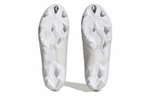 Кроссовки Adidas Predator Accuracy+ Fg