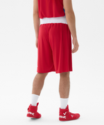 Шорты боксерские INSANE RBF, красный