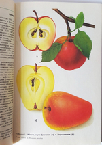 "Занимательное садоводство". Жданович Б.Д, Жданович Л.И