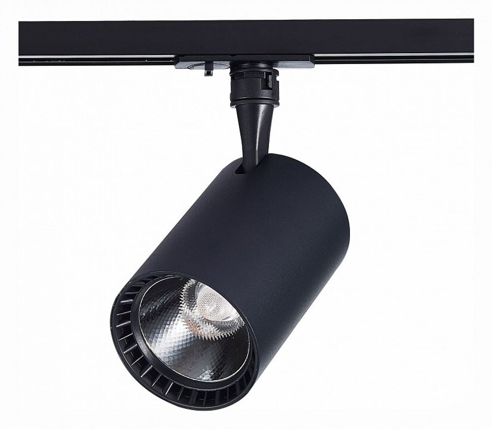 Светильник на штанге ST-Luce Cami ST351.446.20.36