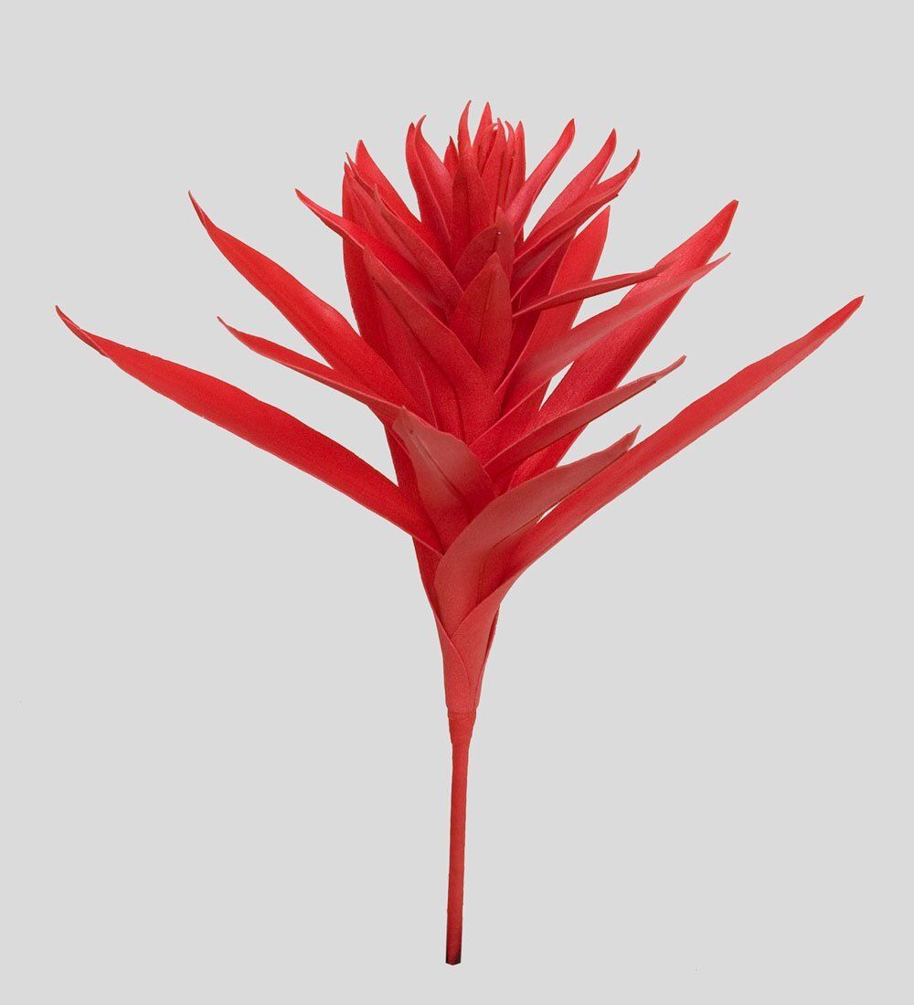 TR 563 Гусмания