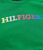 Худые MONOTYPE SWEATSHIRT Tommy Hilfiger - зеленый(KG0KG07887)