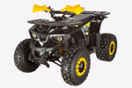 Квадроцикл Avantis Classic 8 NEW (A)