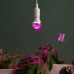 Фитолампа для растений светодиодная ЭРА GREEN LINE ФИТО A65-20W-PL-E27-GR розового свечения 20 Вт | Фитолампы Е27