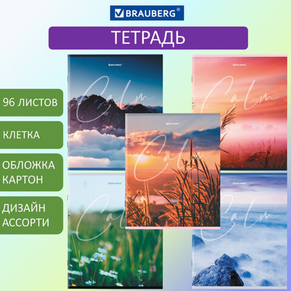 Тетрадь А5 96 л. BRAUBERG скоба, клетка, "Calm"