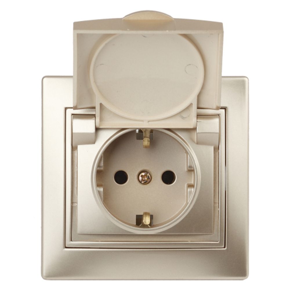 1-203-04 Intro Розетка 2P+E Schuko с крышкой, 16А-250В, IP20, СУ, Plano, шампань