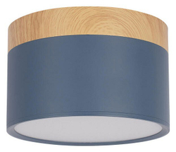 Накладной светильник Loft it 10162 Blue