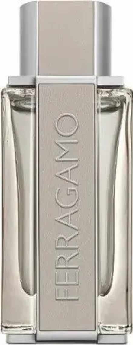 Мужская туалетная вода Salvatore Ferragamo Bright Leather EDT 100 мл
