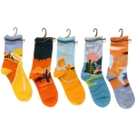 Носки женские «ARTE - Пейзаж» с рисунком, микс