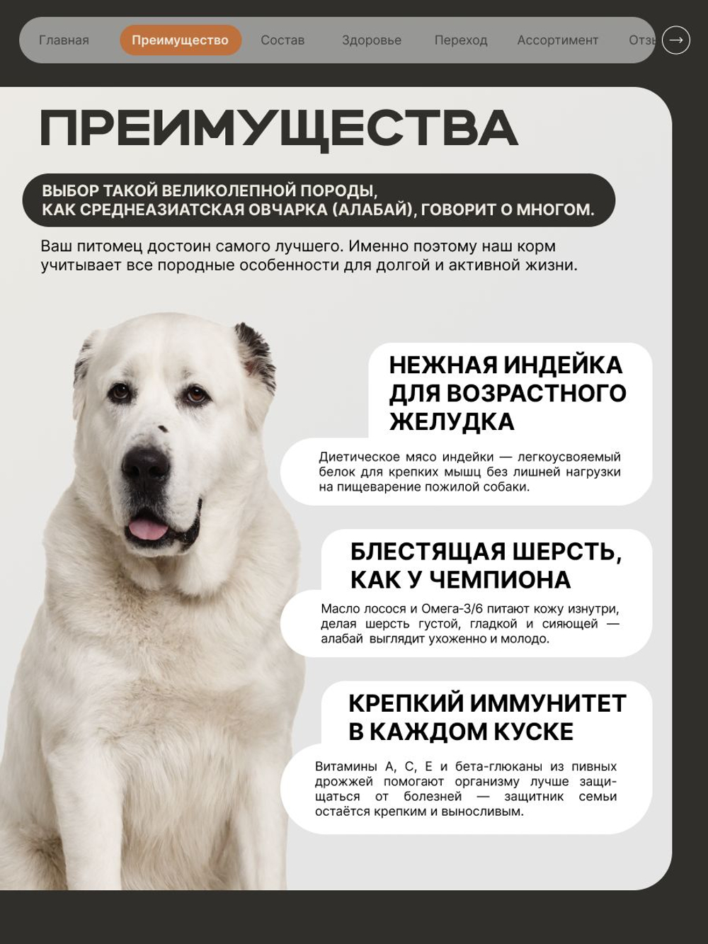 Корм сухой для пожилых собак породы Среднеазиатская овчарка (Алабай) старше 5 лет, с индейкой, 12 кг, QUATTRO