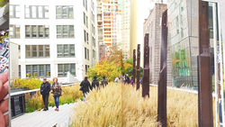 Gardens of the High Line. Piet Oudolf, Rick Darke