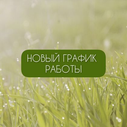 Новый график работы