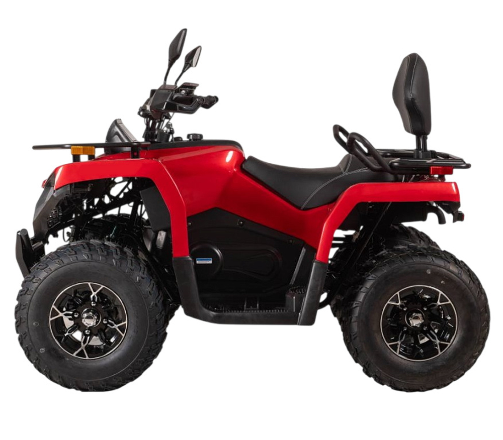 Квадроцикл BIZON YK250 Lux EFI