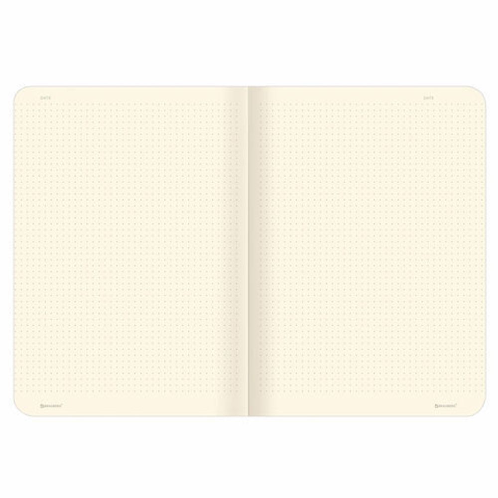 Тетради 40 л. в точку обложка SoftTouch, НАБОР 3 шт., бежевая бумага 70 г/м2, сшивка, А5 (147х210 мм), MASTERPIECE, BRAUBERG, 403802