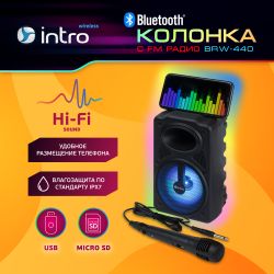 Портативная колонка Intro BRW440 bluetooth беспроводная с микрофоном акустическая черная