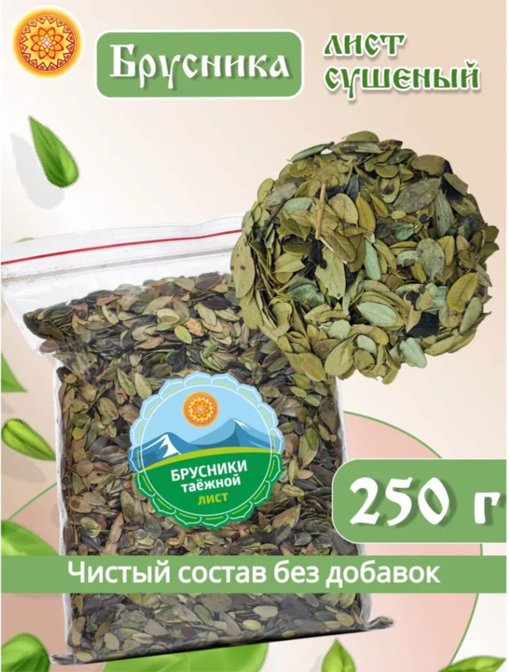 Лист брусники.