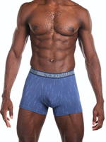 Трусы-боксеры из хлопка с вертикальными черточками (Размер: M) (Цвет: синий)