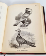 "Собрание сочинений.  В четырех томах."  Ч.Р.Дарвин. 1901 г.