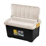 Бокс IRIS RV BOX 600 с разделительной крышкой