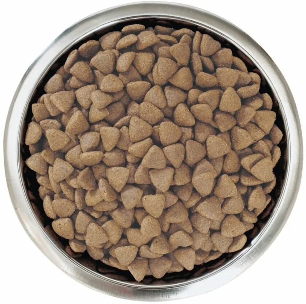 Pro plan корм сухой для щенков курица, рис средние породы