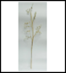 Ветвь Античное золото с бусинами 64 см., 1 шт., Christmas DeLuxe (89066)