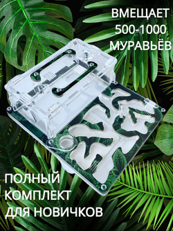 Муравьиная ферма Mini "Мята S " с муравьями