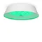 Потолочный светильник FR10013CL-L24W Элементы 24 Вт LED Freya fr10013cl-l24w
