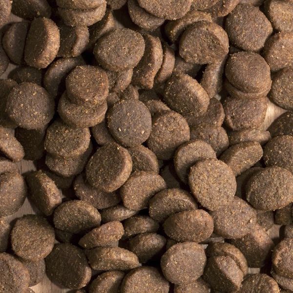 Уценка! Повр.упак. / Сухой корм ProBalance Adult Light Turkey для взрослых собак всех пород с индейкой