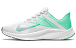 Кроссовки Nike Quest 3 (Женская размерная сетка)