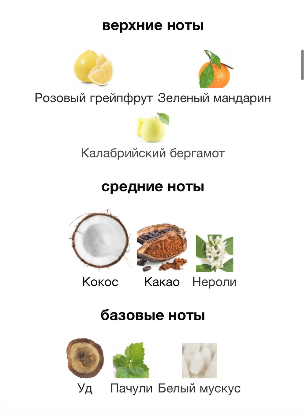 Nejma 7 Nejma