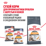 Royal Canin Hair&Skin Care Хэйр Энд Скин Корм влажный для взрослых кошек поддержание здоровья кожи и шерсти соус 85г