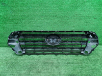 Решетка радиатора Toyota Land Cruiser 200 (15-21)