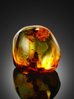 AMBRE 83 base / АМБРА 83 CAS -