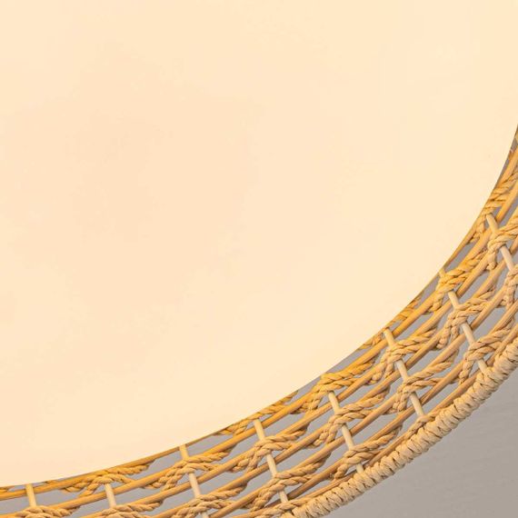 Потолочный светильник F-Promo 4749-4C