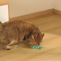 M-PETS Игрушка для кошек с кошачьей мятой CHARMY светлячок, цвет зеленый